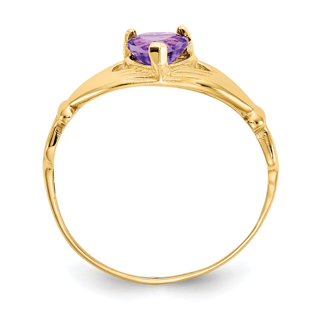 14k CZ February Birthstone Claddagh Heart Ring