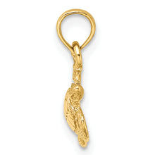 Load image into Gallery viewer, 14K Textured Sea Turtle Charm
