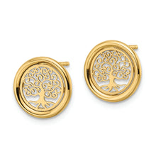 Load image into Gallery viewer, 14k Polished Tree of Life in Circle Post Earrings

