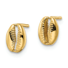 Load image into Gallery viewer, 14k Polished Shell Post Earrings
