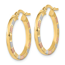 Load image into Gallery viewer, 14k w/White &amp; Rose Rhodium Polished &amp; Satin Hoop Earrings
