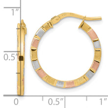 Load image into Gallery viewer, 14k w/White &amp; Rose Rhodium Polished &amp; Satin Hoop Earrings
