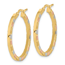 Load image into Gallery viewer, 14k w/White &amp; Rose Rhodium Polished &amp; Satin Hoop Earrings

