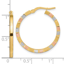 Load image into Gallery viewer, 14k w/White &amp; Rose Rhodium Polished &amp; Satin Hoop Earrings

