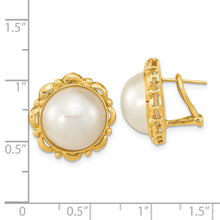 Load image into Gallery viewer, 14K 13-14mm White Saltwater Mabe Pearl Omega Back Earrings
