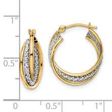 Load image into Gallery viewer, 14k w/ White Rhodium Polished Textured Hoops
