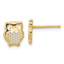 Load image into Gallery viewer, 14K Gold Textured Owl Post Earrings
